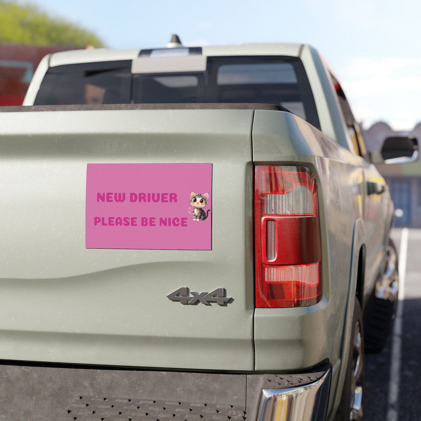 New Driver Car Magnet - Cute Safety Sign for Girls & Teen Drivers - Picknmore