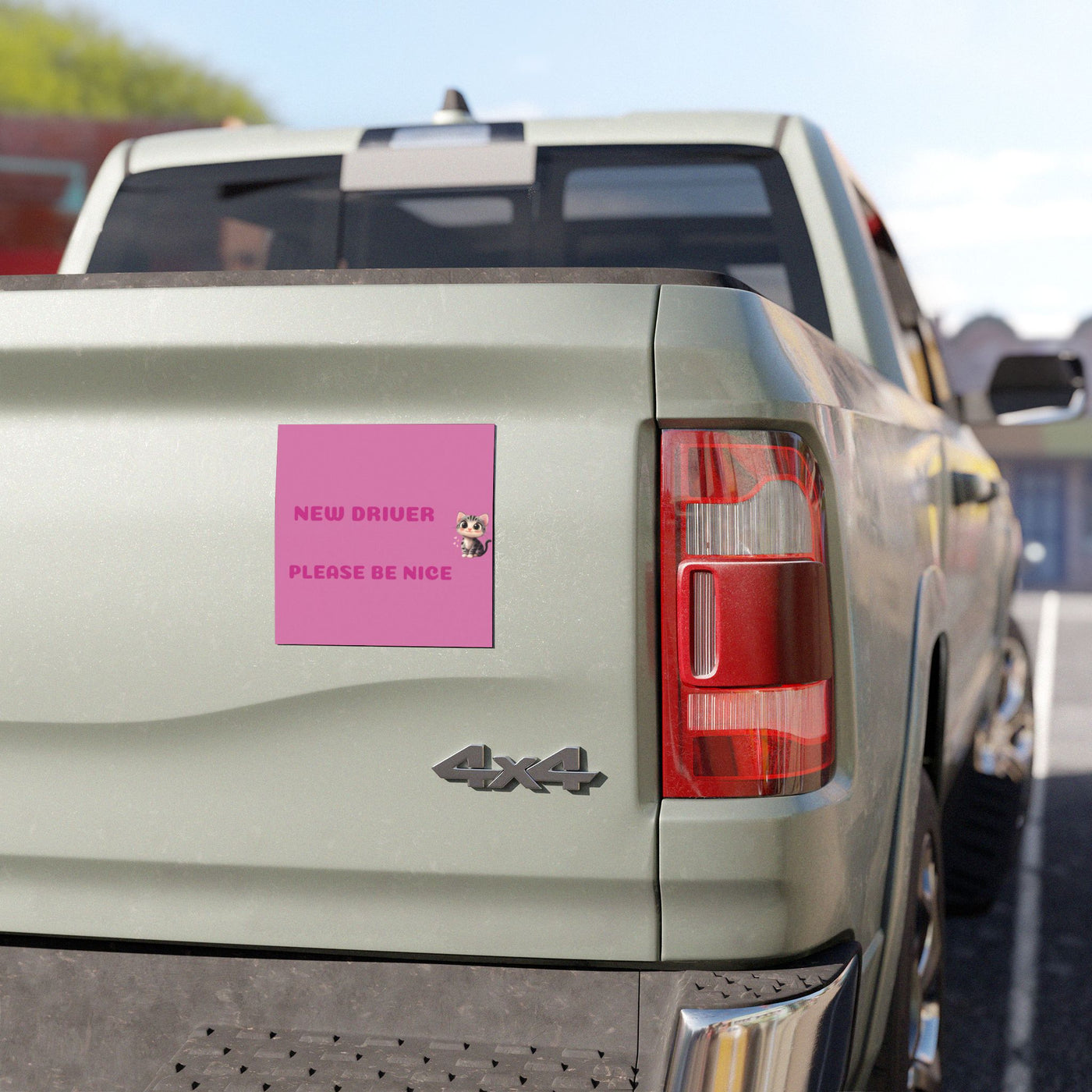 New Driver Car Magnet - Cute Safety Sign for Girls & Teen Drivers - Picknmore