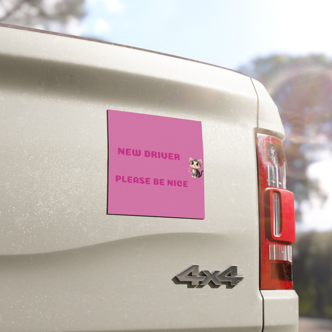 New Driver Car Magnet - Cute Safety Sign for Girls & Teen Drivers - Picknmore