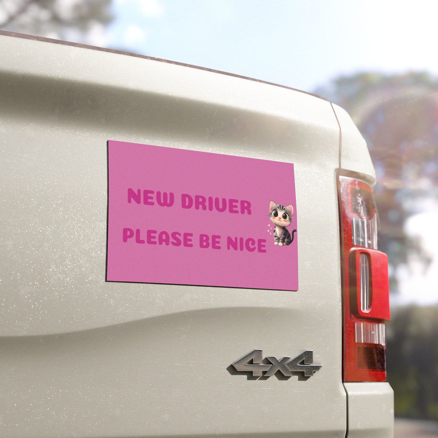 New Driver Car Magnet - Cute Safety Sign for Girls & Teen Drivers - Picknmore