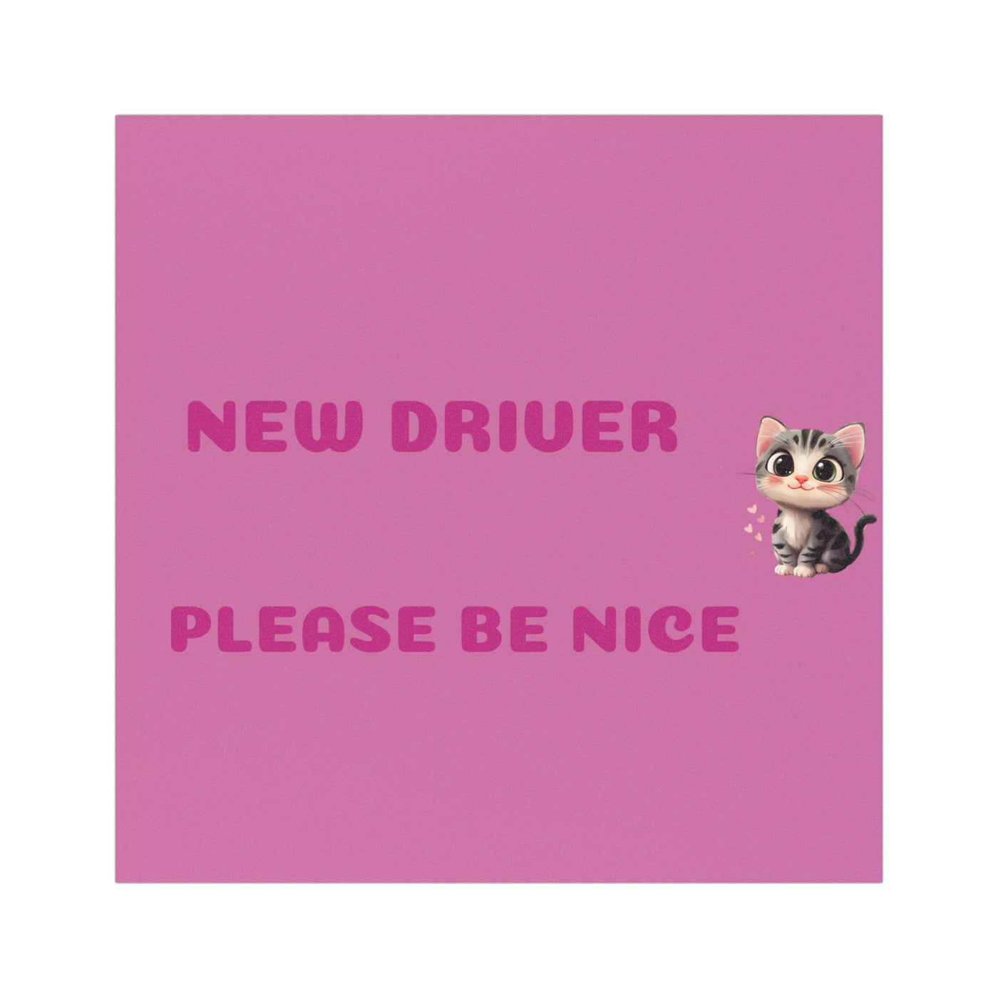 New Driver Car Magnet - Cute Safety Sign for Girls & Teen Drivers - Picknmore